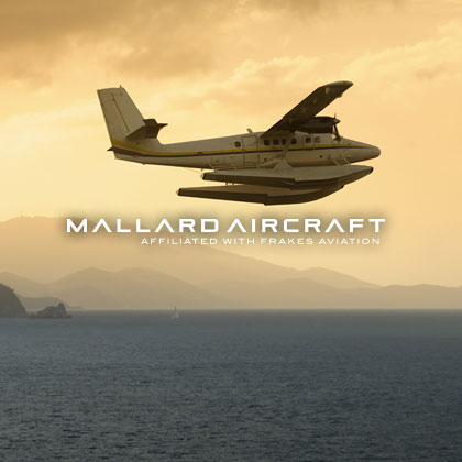 Turbine Mallard